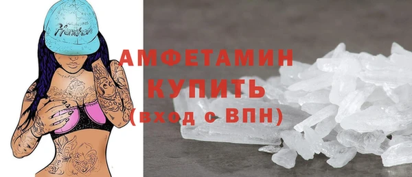 мдпв Бородино