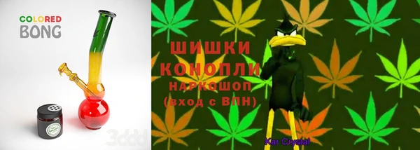 apvp Богданович