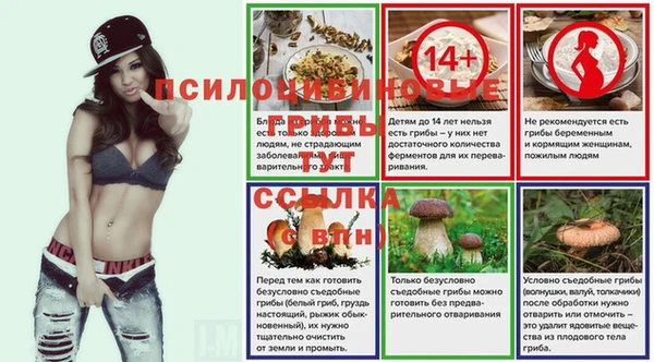 apvp Богданович