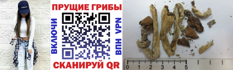 Псилоцибиновые грибы прущие грибы  Магас 