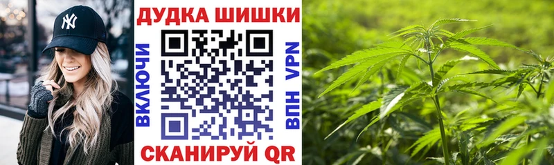 Бошки Шишки индика  сколько стоит  Магас 